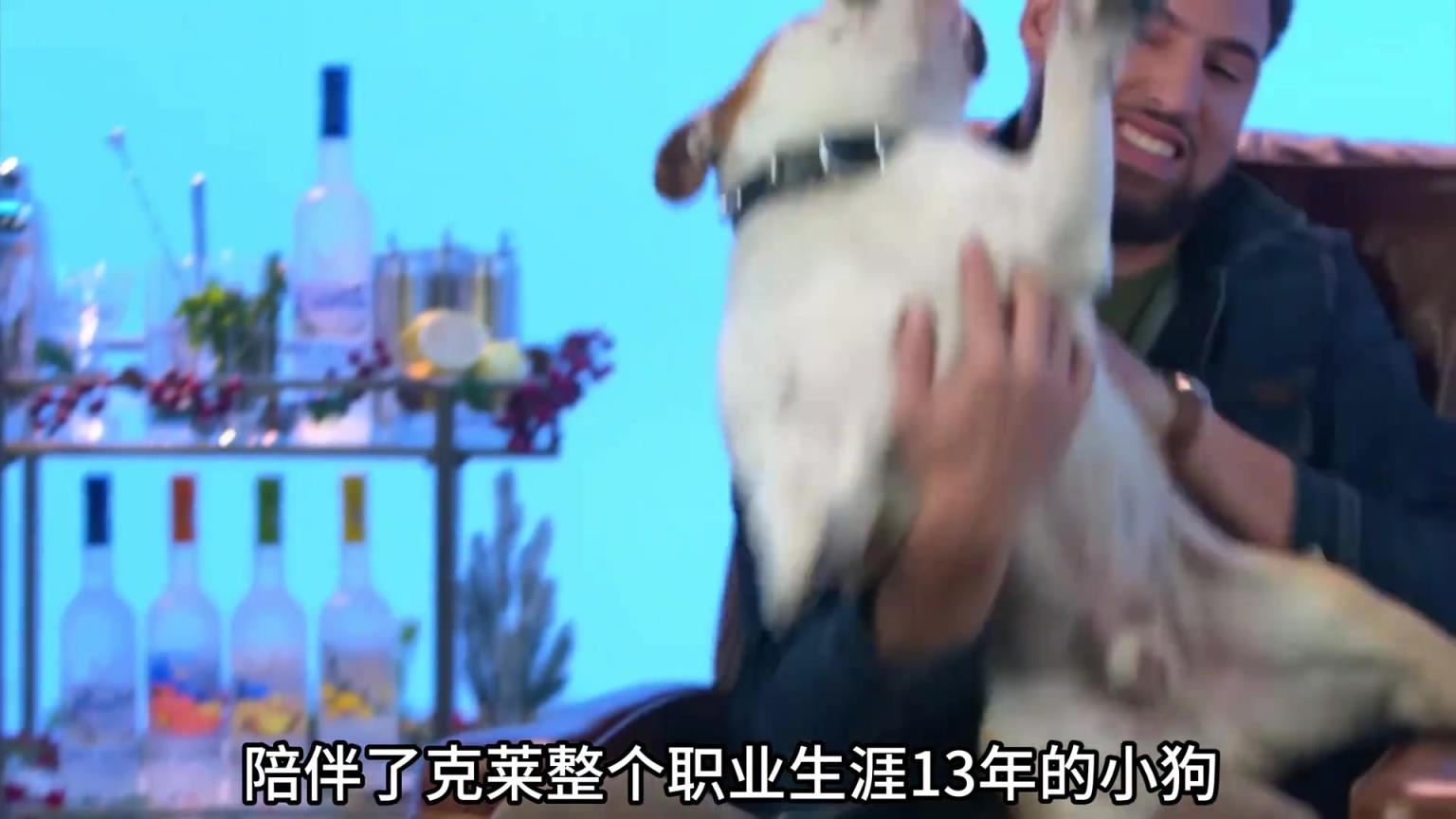 陪伴克萊13年的小狗去世了，不敢相信克萊得多么傷心